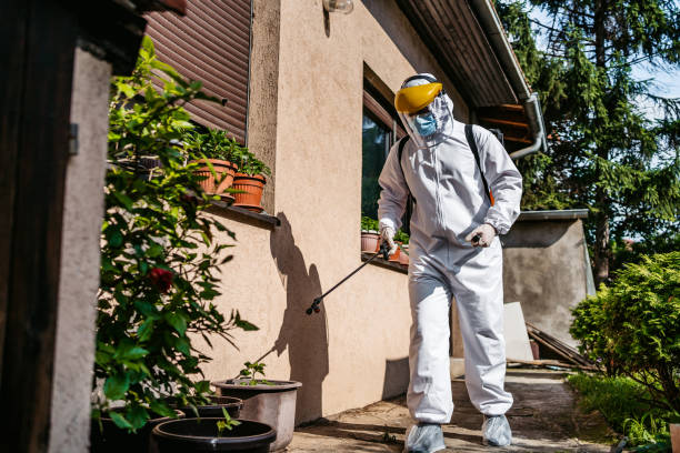 Best Ant Control Services  in Union Mill, VA