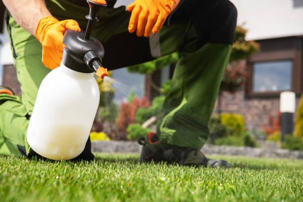 Best Wasp Removal Services  in Union Mill, VA