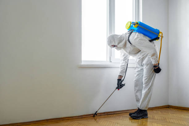 Best Affordable Pest Control Services  in Union Mill, VA