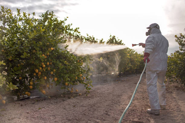 Best Commercial Pest Control Services  in Union Mill, VA