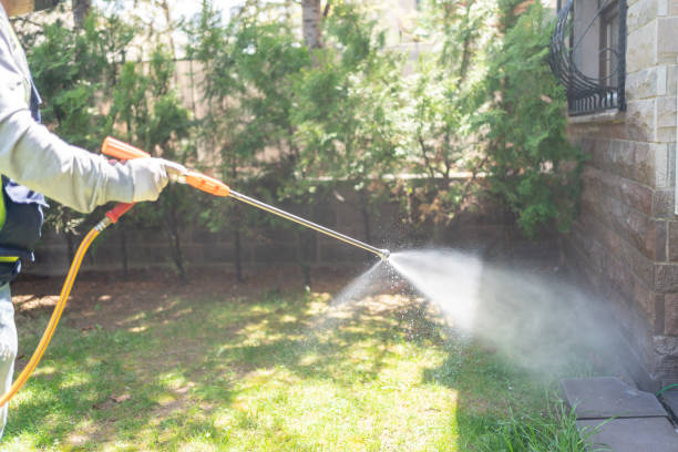 Best Best Pest Control Companies  in Union Mill, VA