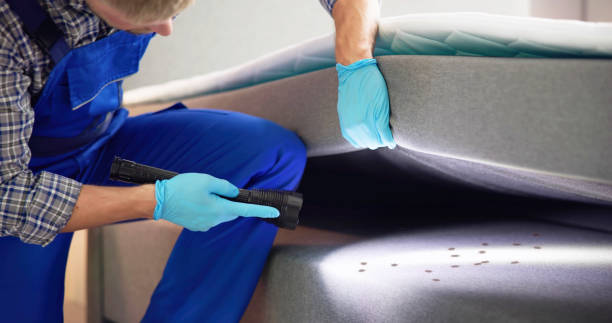 Best Pest Control Treatment  in Union Mill, VA